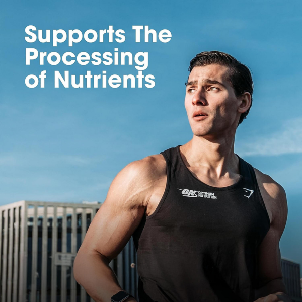 Multivitamin for MEN- 60 Tablets, 26 Vitamins & Minerals, Amino Acids & Anti-Oxidants - Image 8