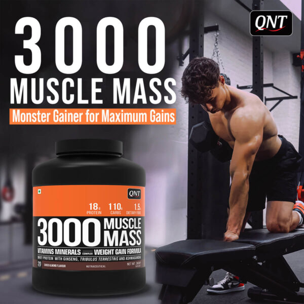 MUSCLE MASS 3000 WEIGHT GAINER | KESAR KAJU PISTA, 5 KG - Image 2