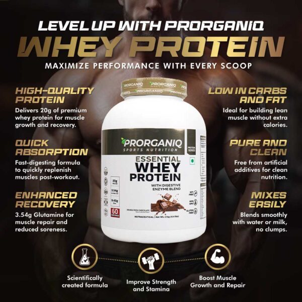 Whey Protein - Image 3