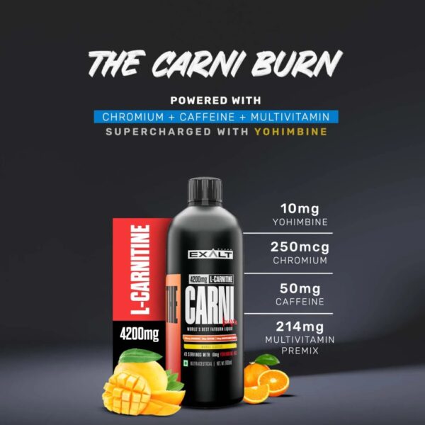 The Carni Burn L Carnitine - Image 4