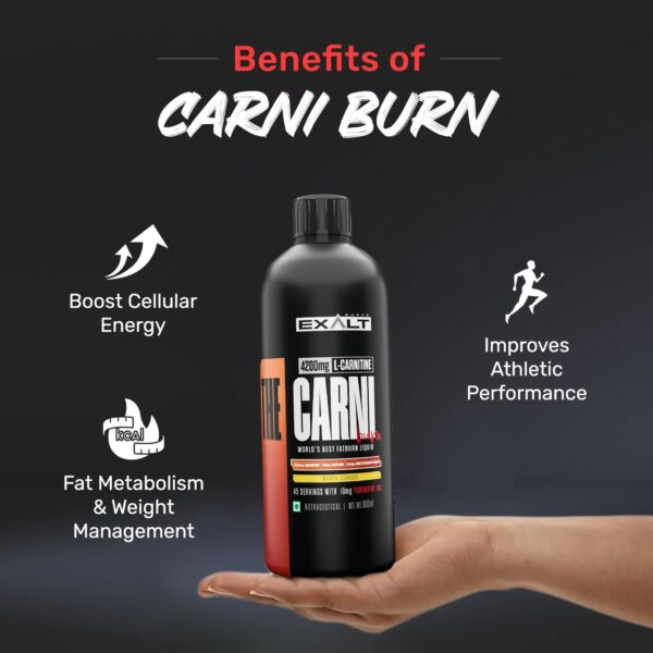 The Carni Burn L Carnitine - Image 3